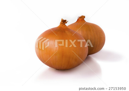  Western蔥，蔥蔥，洋蔥，荷蘭洋蔥，洋蔥，荷蘭洋蔥 27153950