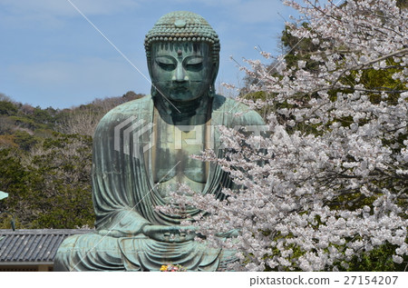 阿彌陀佛Nyorai Seiza(鎌倉大佛)和櫻花 阿彌陀佛Nyorai Seiza(鎌倉大佛)和櫻花 27154207