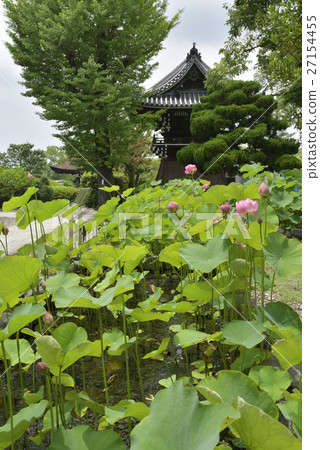 寺大穀神社Oga蓮花 27154455