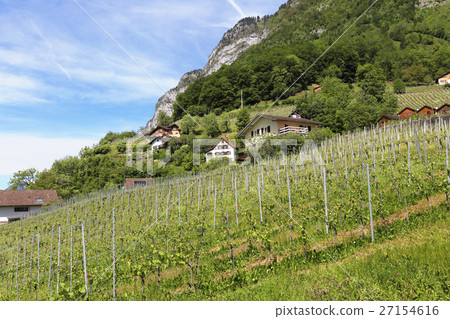 landscape at Quinten at Lake Walen, Switzerland 27154616