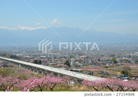 Streets of the Kofu Basin with peach blossoms Streets of the Kofu Basin with peach blossoms 27154906
