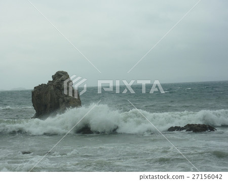 岩波 岩波 27156042