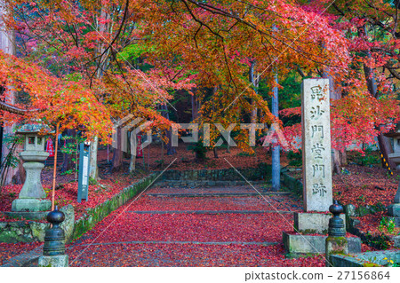Kyoto's autumn leaves 27156864