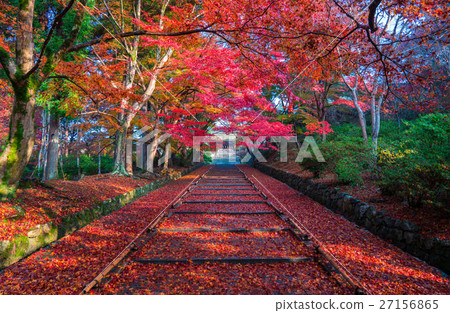 京都的秋葉 京都的秋葉 27156865