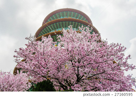 Tianyuan Palace, cherry blossom 27160595