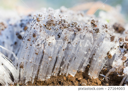 Frost pillar image 27164003