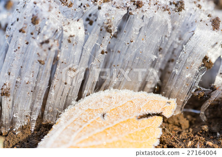 Frost pillar image Frost pillar image 27164004