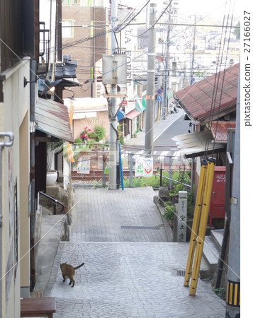 Cat in Onomichi/Onomichi,Hiroshima Cat in Onomichi/Onomichi,Hiroshima 27166027
