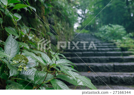 green leaf and stone stairs leading up a walkway green leaf and stone stairs leading up a walkway 27166344