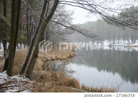 forest  lake in winter 27166358