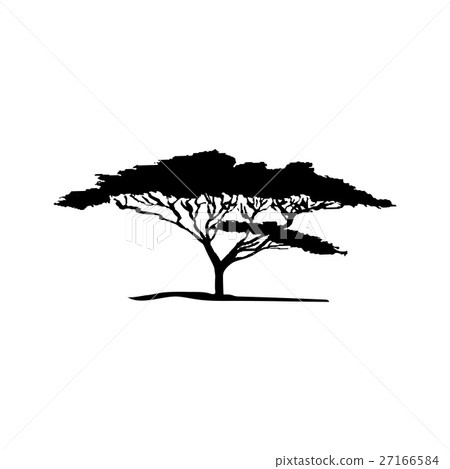 Vector silhouette of acacia tree. African flora Vector silhouette of acacia tree. African flora 27166584
