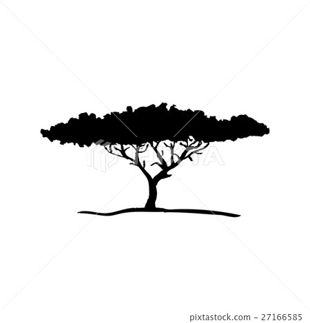 Vector silhouette of acacia tree. African flora Vector silhouette of acacia tree. African flora 27166585
