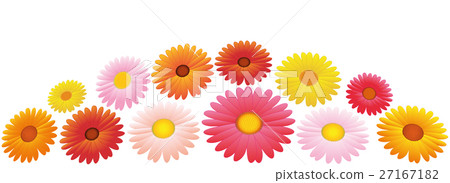 Asters Orange Pink Yellow Flowers Arrangement Asters Orange Pink Yellow Flowers Arrangement 27167182