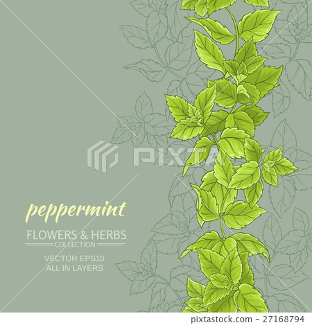 peppermint vector background peppermint vector background 27168794