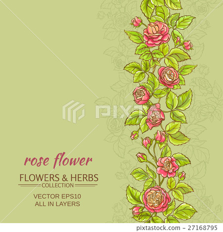 rose vector background rose vector background 27168795