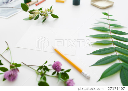 Blank card in green plants frame free space 27171407