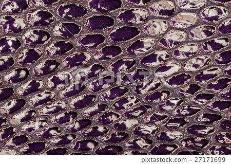 Texture of genuine patent leather close-up 27171699