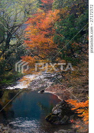 Fall of Nichinan City Kitasato 27172572
