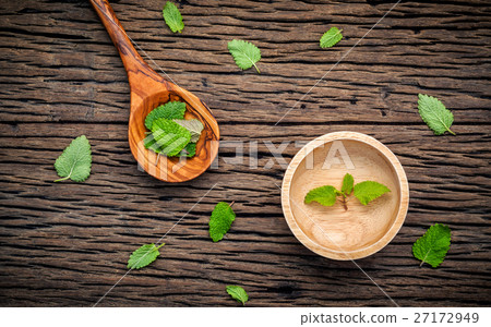 Fresh lemon balm ( Melissa tincture) leaves . 27172949