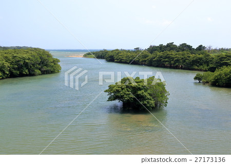 Hirugi forest at Ishigakijima 27173136