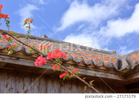 Ishigakijima的老私人住宅 27173179
