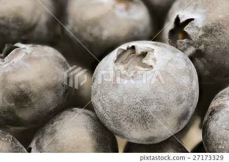 close-up of fresh cool blueberries background 27173329