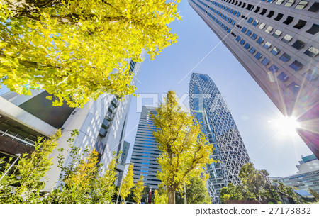 新宿天空 27173832