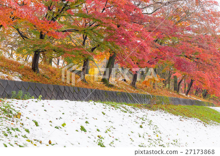 深秋圖像_ Momiji和雪蓋 27173868