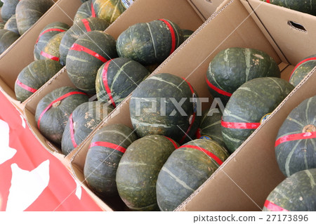 pumpkin pumpkin 27173896