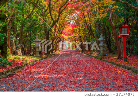 Autumn leaves of Kyoto Ohara Shrine 27174075