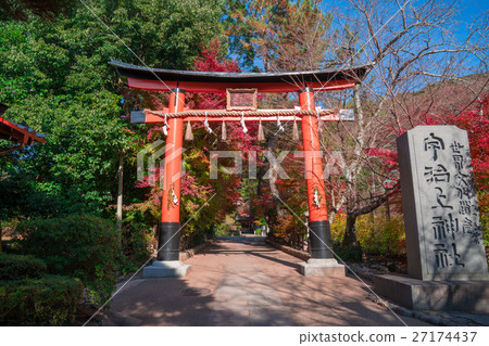 京都宇治神社的秋葉 27174437