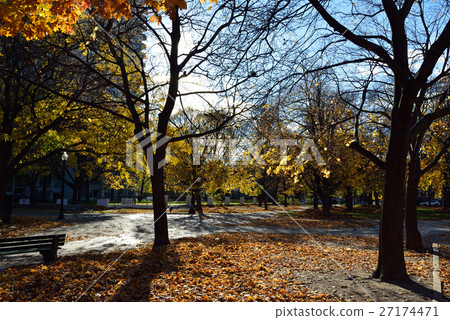 Toronto Ontario Museum of Art in Canada Toronto Ontario Museum of Art in Canada 27174471