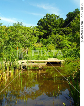 Scenic view of the waterfront lively waterside 27174838