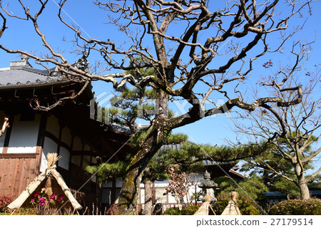 The cold weather Ishikoji The cold weather Ishikoji 27179514