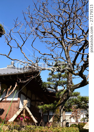 The cold weather Ishikoji 27179515