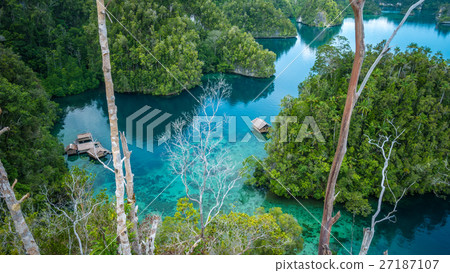 Bamboo Hut in Mangrove, Kabui Bay, Raja Ampat Bamboo Hut in Mangrove, Kabui Bay, Raja Ampat 27187107