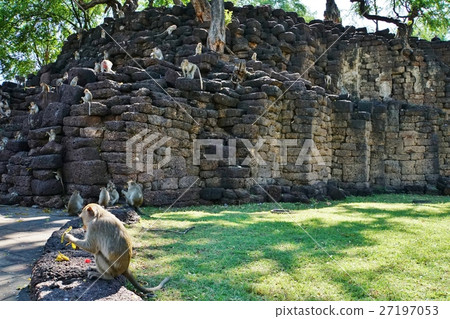 猴子在泰國的Lopburi省“Saen Pra Khan”的San Phra Karn 猴子在泰國的Lopburi省“Saen Pra Khan”的San Phra Karn 27197053
