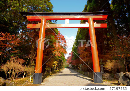 霧島神宮在秋天 27197383