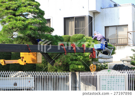 修剪花園樹木 27197898