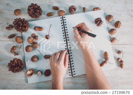 open notebook with acorns and cones open notebook with acorns and cones 27199670