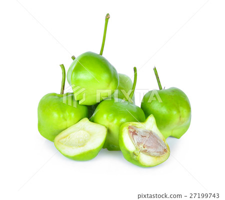 Yellow oleander; Lucky nut isolated on white  27199743