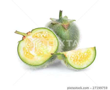 Solanum, Bolo Maka, islated on white background Solanum, Bolo Maka, islated on white background 27199759