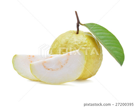 Guava fruit on white background 27200395