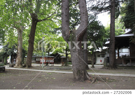 At Kawaguchi Shrine in Saitama Prefecture 27202006