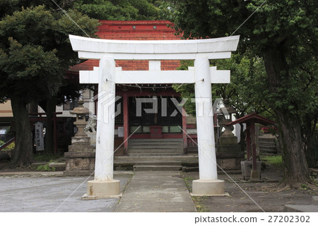 At Iizuka Hikawa Shrine (Kawaguchi City, Saitama Prefecture) 27202302