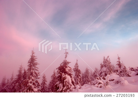 Winter in the Carpathian mountains Winter in the Carpathian mountains 27203193