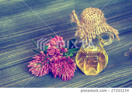 Essential clover oil 27203234