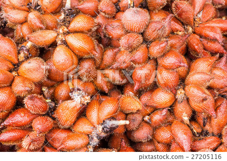 fresh red waive bunch for sale in market fresh red waive bunch for sale in market 27205116