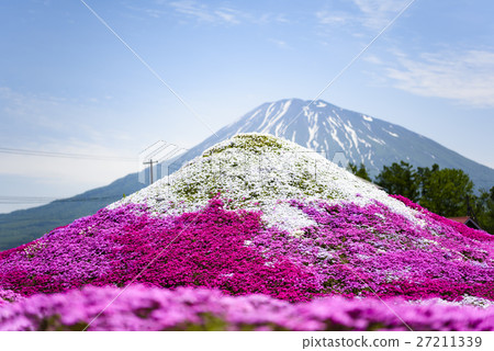 Mt. Yotei made with moss slurry and genuine Mt. Yotei Mt. Yotei made with moss slurry and genuine Mt. Yotei 27211339