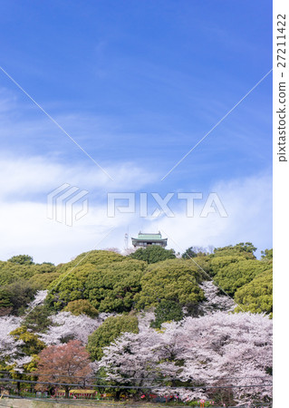Komaki and Komaki castle and cherry blossom view Komaki and Komaki castle and cherry blossom view 27211422